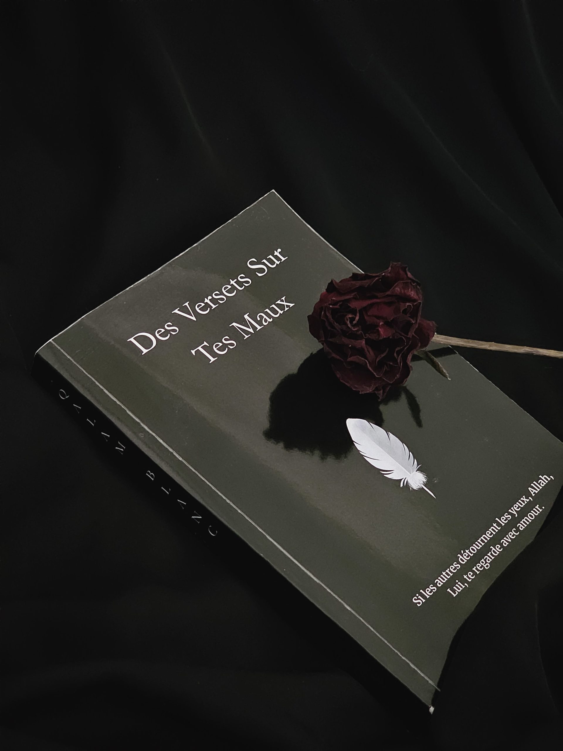 Livre des versets sur tes maux, 13 emotions et la parole d'Allah